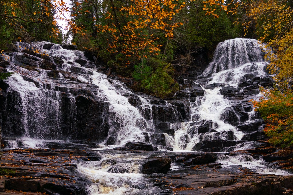 Vue des chutes d'eau entourées d'arbres aux couleurs d'automne, avec des feuilles dorées et orange tombant autour.