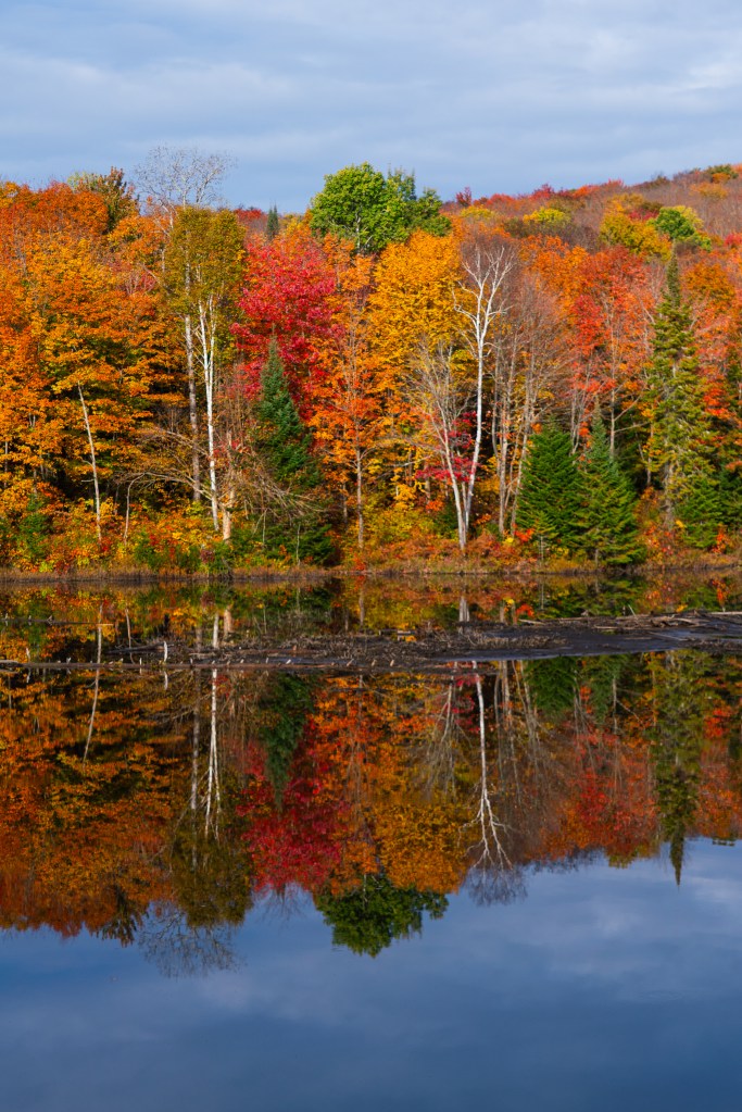 Reflet d'un paysage automnal avec des arbres aux couleurs vives, incluant des teintes de rouge, orange et jaune, se reflétant sur une surface d'eau calme.