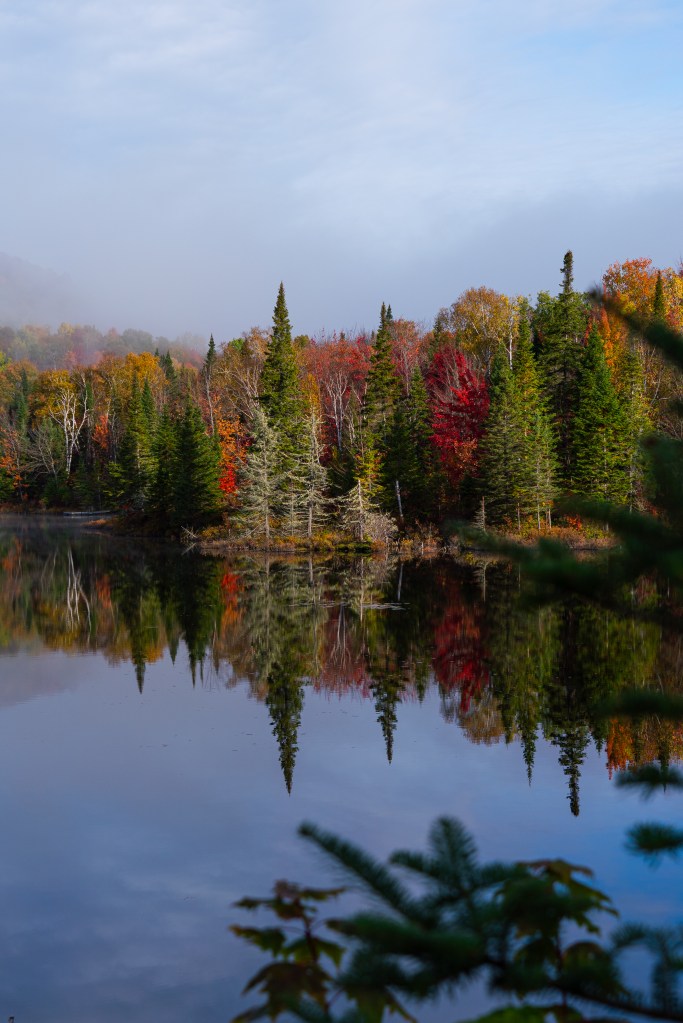Reflet des arbres aux couleurs d'automne sur un lac tranquille, créant un paysage serein avec un ciel légèrement brumeux.