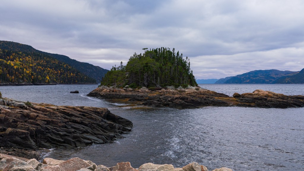 Vue panoramique d'un petit îlot boisé émergeant des eaux calmes d'un fjord au Canada, entouré de collines aux feuilles d'automne colorées sous un ciel nuageux.