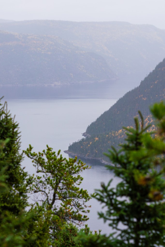 Vue panoramique sur une vallée verdoyante avec un plan d'eau, entourée de montagnes couvertes de forêts aux couleurs d'automne.