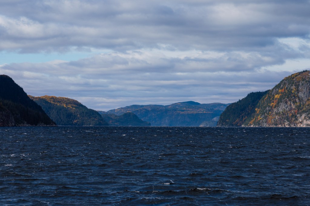 Vue panoramique du fjord avec des collines recouvertes d'arbres aux teintes d'automne sous un ciel nuageux.