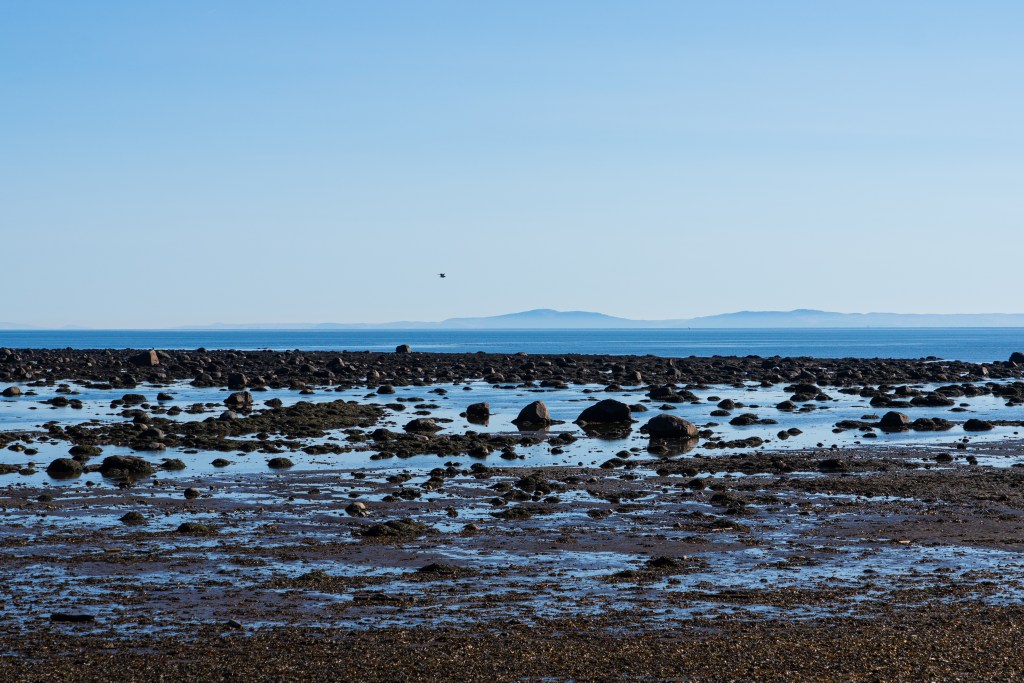 Vue panoramique sur un rivage rocheux au bord de l'eau, avec des rochers et des algues visibles sur le sol, sous un ciel bleu clair.