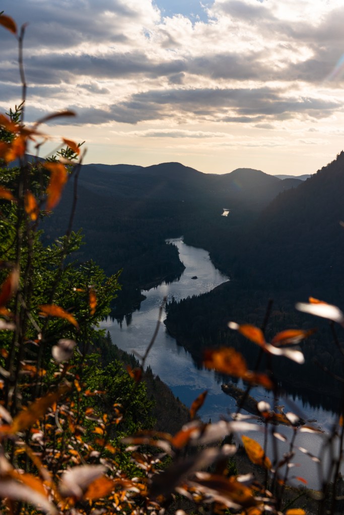 Vue panoramique sur une vallée avec une rivière serpentant entre les collines, baignée dans une lumière dorée au coucher du soleil, et des feuilles d'automne en premier plan.