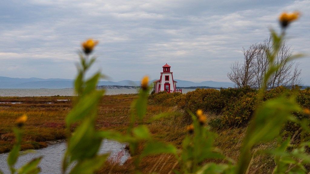 A picturesque red lighthouse standing against the backdrop of the sea and distant mountains, framed by autumn foliage and flowers in the foreground.